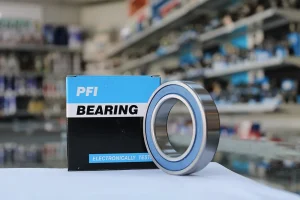 6009 2RSR C3 rulment PFI