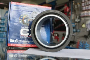 GE 110 ECR 2RS cuplă sferică CX22