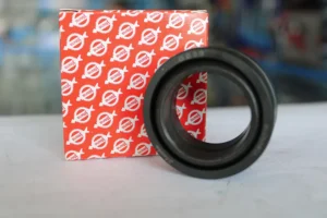 GE 30 cuplă sferică SLAVIA