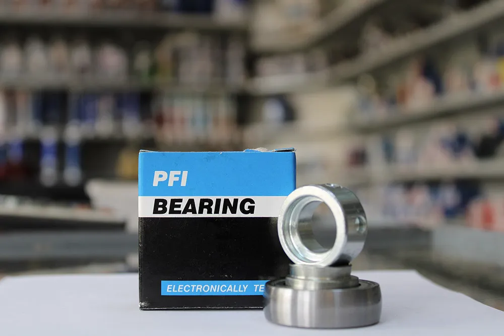 RAE 17 NPPB rulment PFI