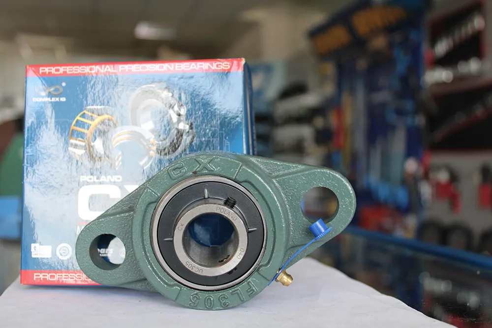 UCFL 305 lagăr cu rulment CX22