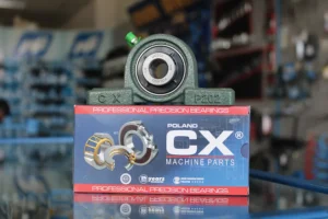 UCP 202 lagăr cu rulment CX22